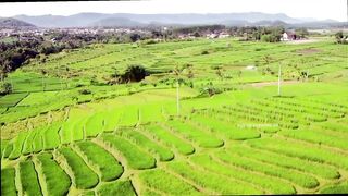Green Masterpiece From Above