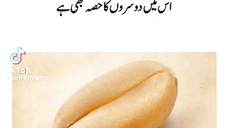 salehqoutes