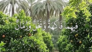 Surah Rahman Quran majeed 2