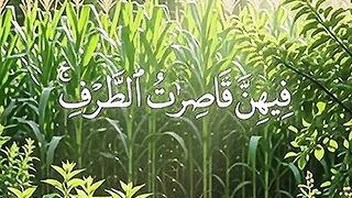 Islamic video 691