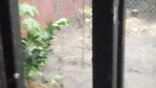 La pluie 3