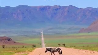 Travel Time in Africa