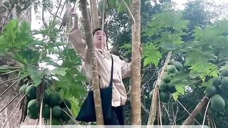 Both of them are hanging and swinging.