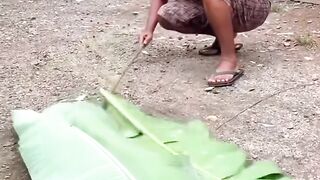Crazy Funny Moments Caught on Camera! When Everything Goes Hilariously Wrong!