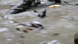 Funniest Moments That Will Make You Laugh!