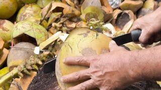 asmr coconut cutting skills