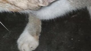 My cat 🐈😺