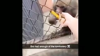 memes i found on the internet