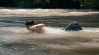 NYARIS HANYUT KEBAWA ARUS SUNGAI