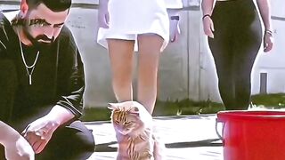 Fashion Show AI yang Unik! 😍🔥 Outfit Stylish dan Elegan