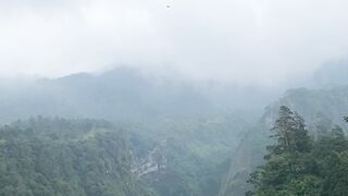 Mountain View 8