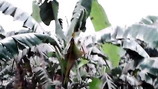 volcanic ash