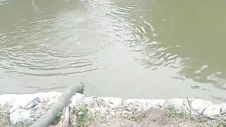This is my work