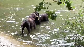 I won't let go.... Well, I won't either.... 😆🤪🤎... and in the meantime we cool off in the water 🤪