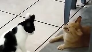 These guys deserve an Oscar.
