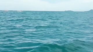 Vitamin sea🌊