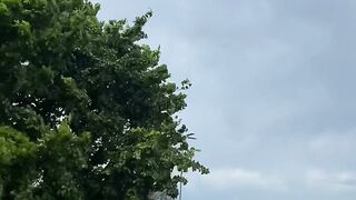 After the Rain 🌧️🌿 | Peaceful Road & Beautiful Nature | Relaxing Weather in Pakistan 🇵🇰