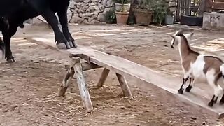 Que bonito es vivir.mp4