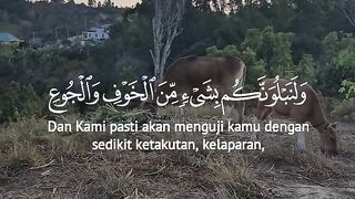 Qs Al- Baqarah