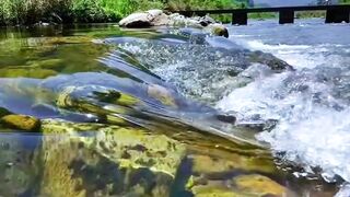 Nature ✨ is beautiful peaceful moments