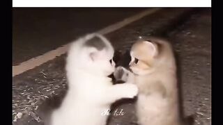 Vamos riiii