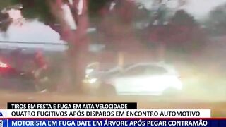 Motorista em fuga bate em árvore após pegar contramão