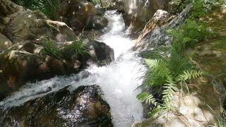 The Hidden Paradise of Sever do Vouga: Cabreia Waterfall, Portugal | Full HD.