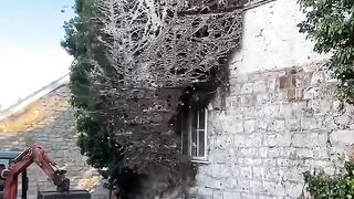 4k video Ultra HD | 8k video Ultra HD | 12k video Ultra HD #relaxing #bird #animals #12k #8k #4k 2