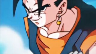Vegetto forma
