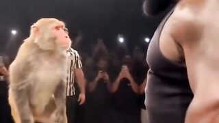 Try Not to Laugh! 😂 The Funniest Moments Ever!