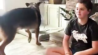Dog greed: It's MINE! MINE! That one to! MINE!!!