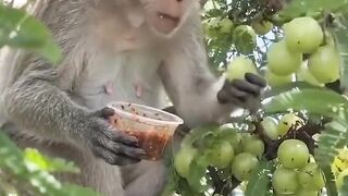 Di bawa nyantai aja