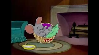 Tom and Jerry show 7