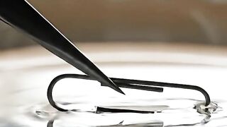 Amazing Physics Fact_ A Paperclip Can Float.