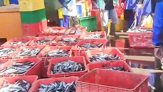 Good fortune strikes