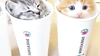 Cute little moment