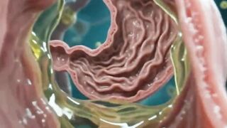kidney Health watch