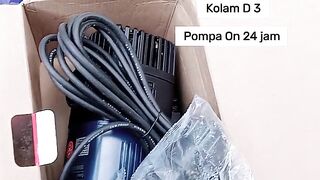Water Pump for RAS system cultivation