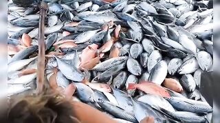 The fish almost spilled