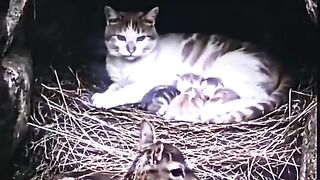 Mother loved