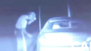 ЕСЛИ_БЫ_ЕГО_НЕ_ЗАСНЯЛИ_НА_КАМЕРУ,_НИКТО_БЫ_НЕ_ПОВЕРИЛ