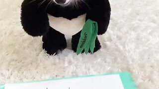 Funny Puppy - Best Of The 2021 Funny Dog Videos - TRY NOT TO LAUGH!
