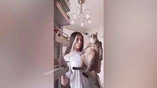 СМЕШНЫЕ ЖИВОТНЫЕ 2021/ЛУЧШИЕ ПРИКОЛЫ С КОТАМИ