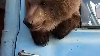 Вот прикол