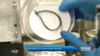 Alberta's economy looks to transition to renewable energy.