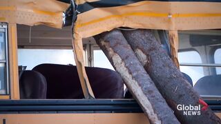 No children injured after Alberta school bus impaled by logs