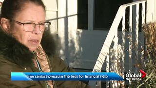 Low-income seniors plead for help from feds after pandemic benefits strip financial aid
