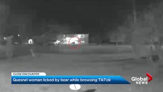 BC woman licked by bear while browsing TikTok.