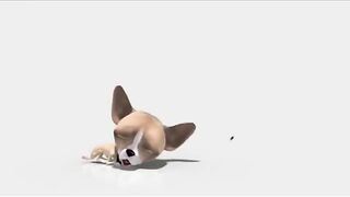 Unbelievable Dog Bloopers: Our Funniest Compilation Yet! [№81]