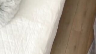 Cute Kitten - Best Of The 2021 Funny Cat Videos - TRY NOT TO LAUGH!